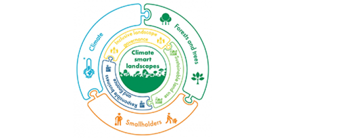 Working Landscape Project: Promoting sustainable use of forests and trees for people and climate