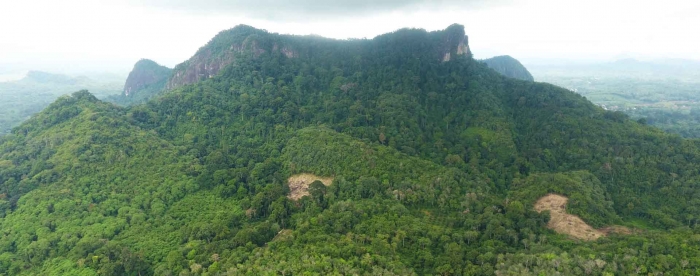 Penguatan Perencanaan dan Pengelolaan Kawasan Hutan di Kalimantan (KalFor)
